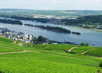 Vue sur la vallée de Niederwald 