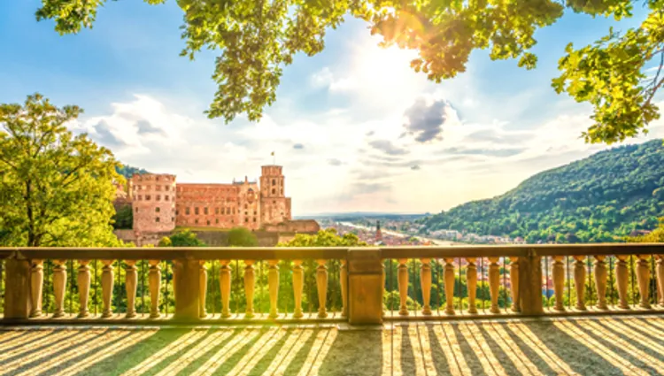 Vignette hauteurs d'Heidelberg 