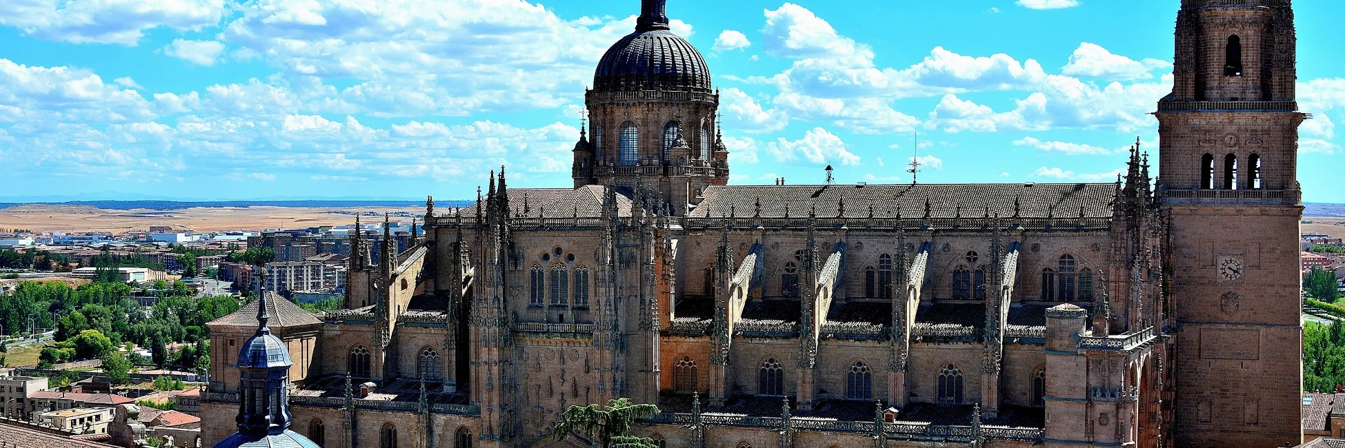 La cathédrale de Salamanque 