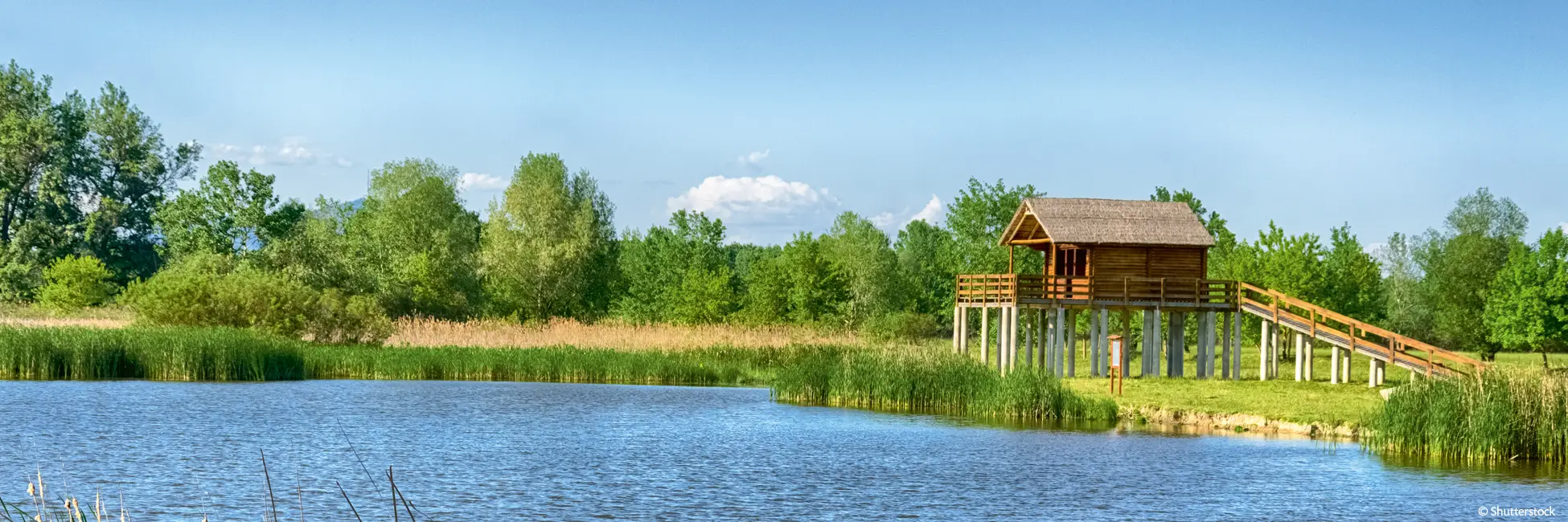 Slider Lac Tisza en Hongrie 