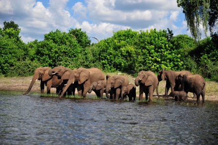 Afrique du Sud - Botswana - Namibie - Zimbabwe - Croisière L'Afrique Australe à bord de l'African Dream: Expérience Inédite aux Confins du Monde avec pré-programme 