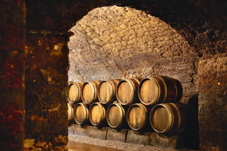 4 Rivers: The Neckar, Romantic Rhine, Moselle, and Sarre Valleys