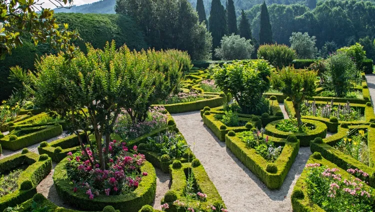 Jardin de Vila Real Palias Mateus 