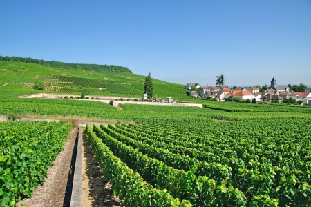 cruise-on-the-marne-rhine-canal-from-epernay-to-paris-port-to-port-cruise