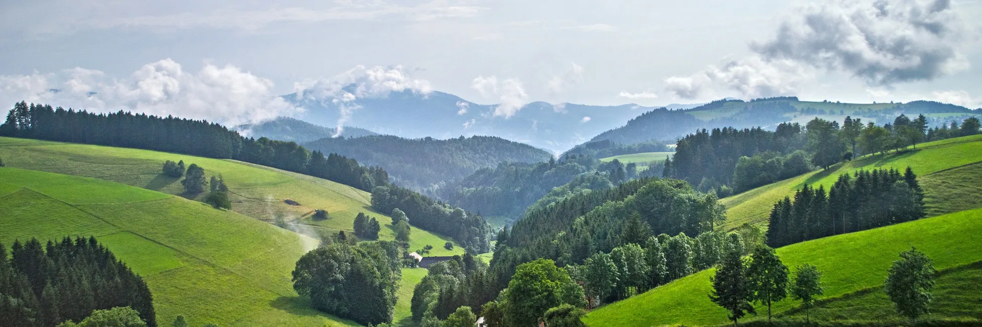 La forêt noire en Allemagne 