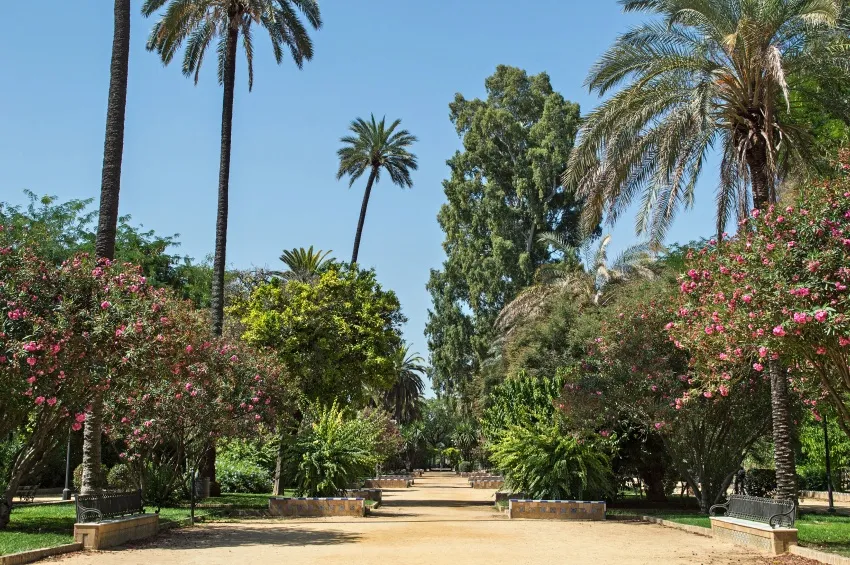 Le jardin de Séville 