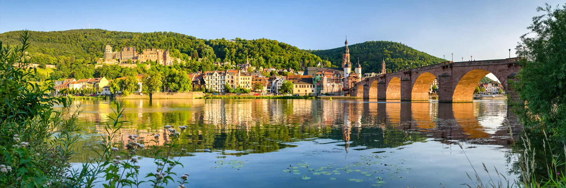 le Rhin en croisière à Heidelberg en Allemagne 
