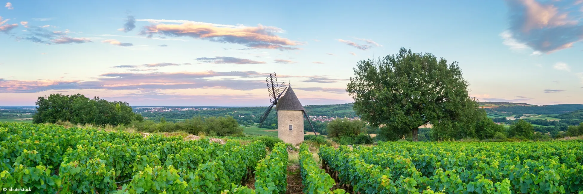 Santenay en Bourgogne avec CroisiEurope