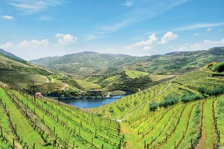 La vallée du Douro au Portugal 