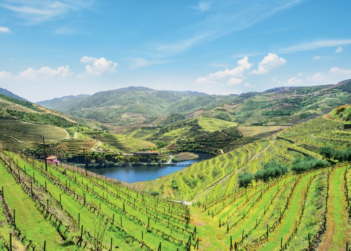 La vallée du Douro, une nature préservée