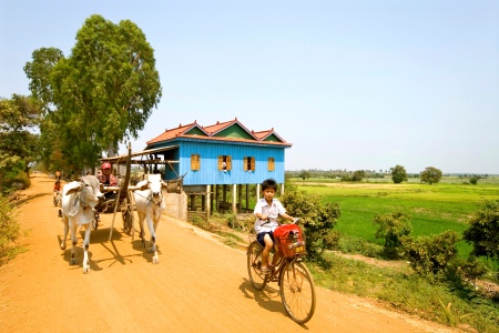 Cambodge - Vietnam - Croisière du Delta du Mékong aux Temples d'Angkor