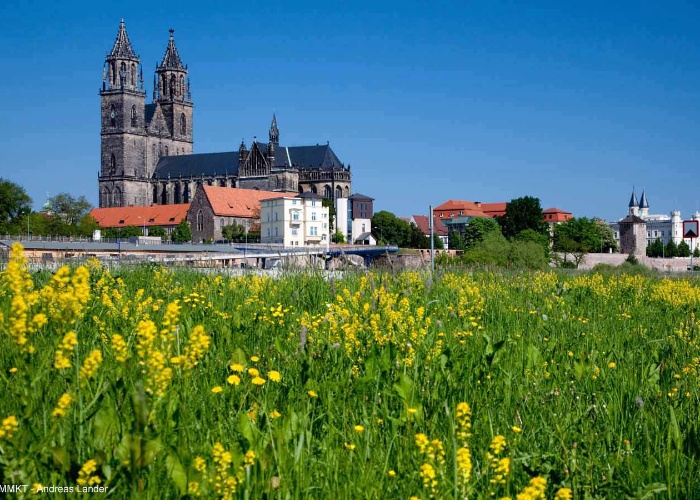 Croisière entre Berlin et Prague, les plus belles escales de l'Elbe et de la Moldau (formule port/port) - 4