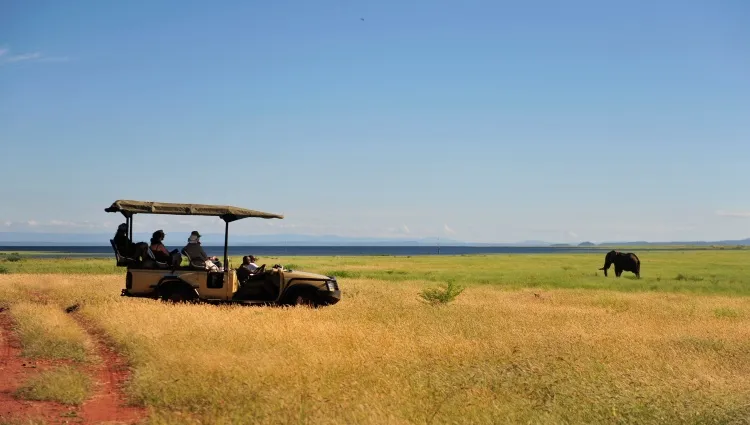 Safari au parc national matusadona