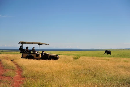 Safari au parc national matusadona