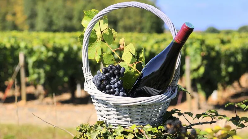 Beaujolais de las piedras doradas