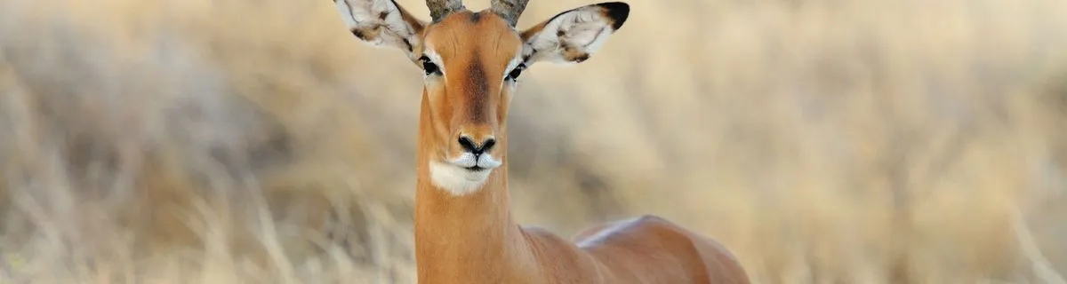 Image alt text not provided.