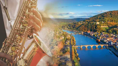 Croisière rythmée sur le Rhin