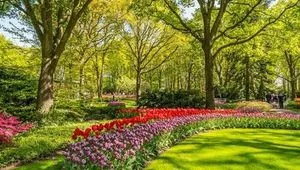 Image alt text not provided.