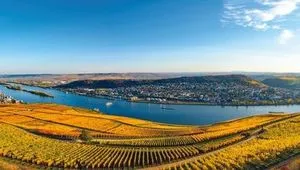 La vallée du Rhin romantique : quand un fleuve raconte son Histoire