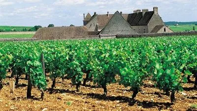 La route des Grands Crus de Bourgogne