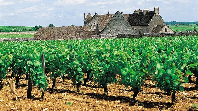 Burgundy: the Grands Crus Wine Route
