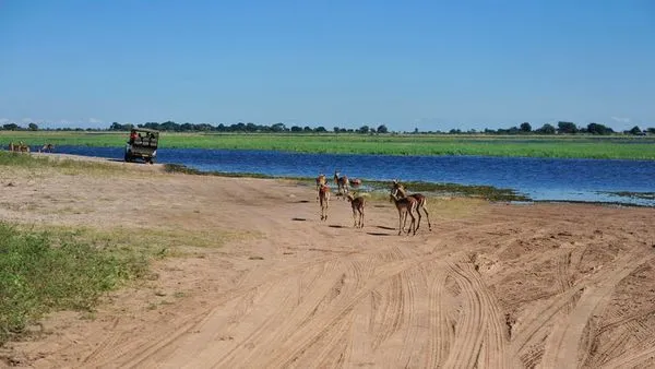 Image alt text not provided.