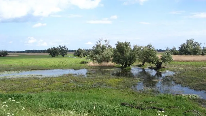 Visite guidée du parc de Kopacki Ritt et et de la ville de Osijek