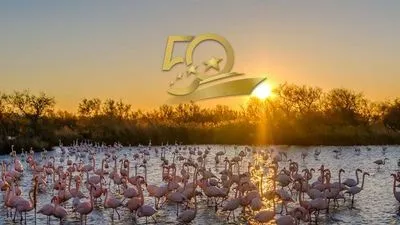 CROISIERE DES 50 ANS - Au fil du Rhône : Saveurs et littérature avec Eric-Emmanuel Schmitt & Emmanuelle Dufaure (formule port/port)