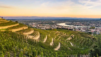 Croisière sur le Rhône : entre terroir, histoire et traditions locales (formule port/port)