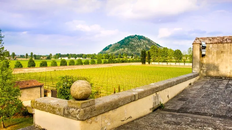 Randonnée sur la route des vins à travers les collines euganéennes