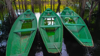 Image alt text not provided.