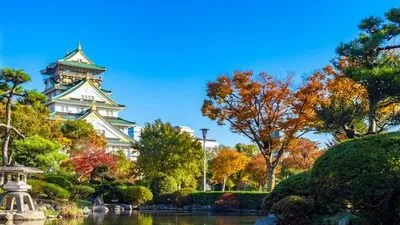 Sur la mer des traditions, une odyssée japonaise (formule port/port)