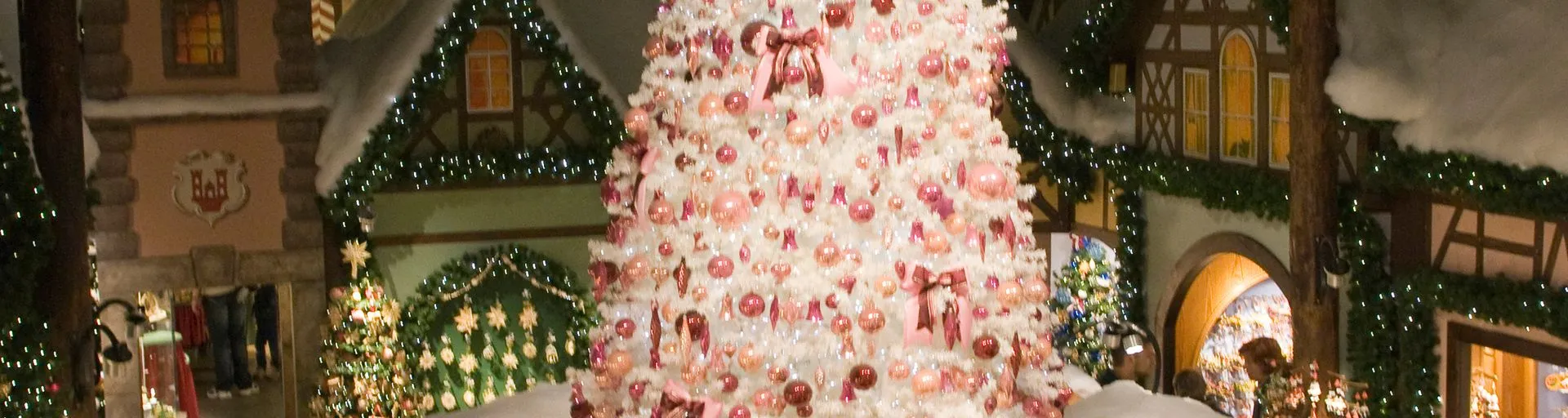 Image alt text not provided.