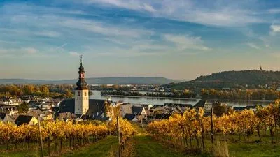 Le Rhin en folie : Une croisière rythmée : légende, saveurs et bonne humeur (formule port/port)