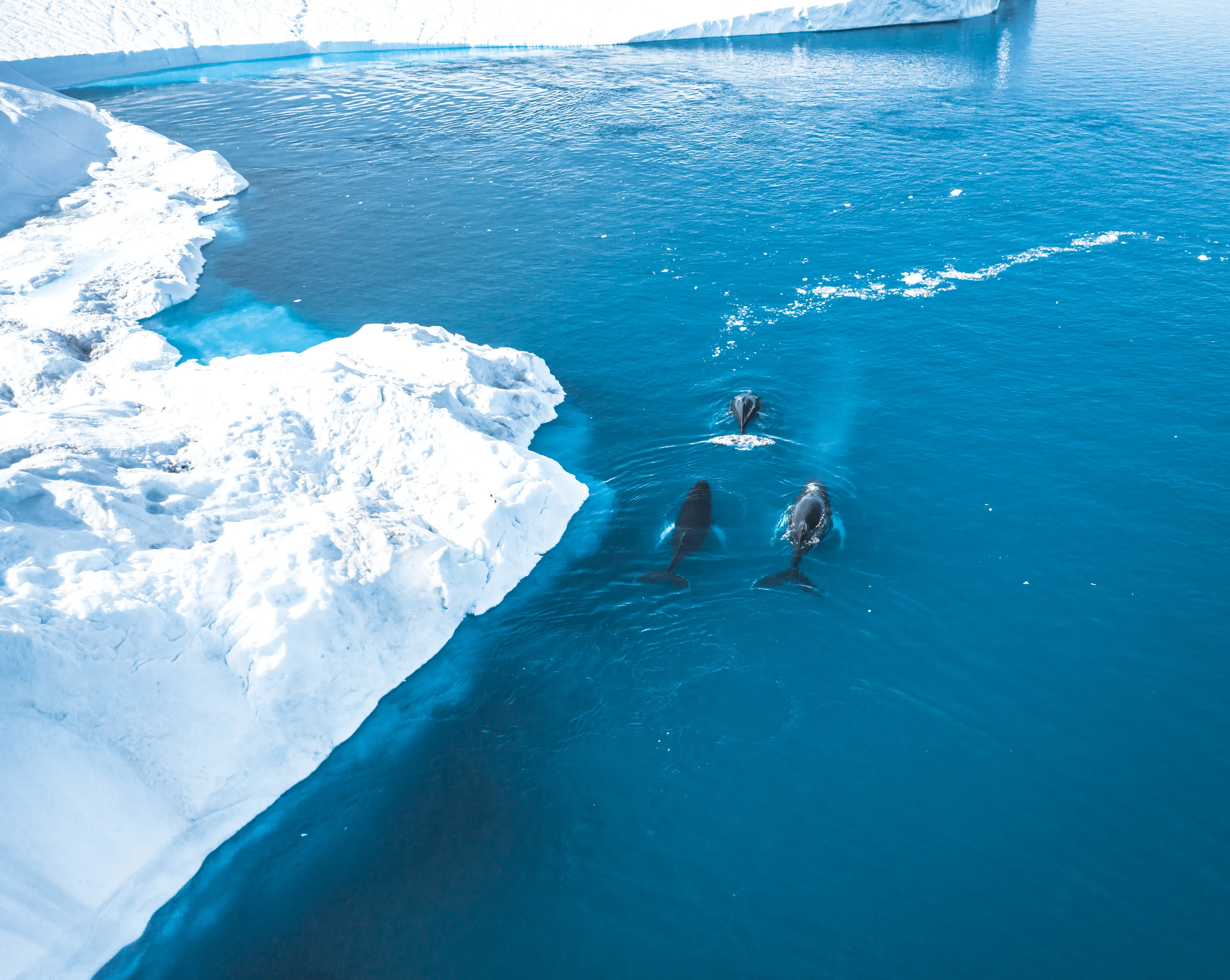 Image alt text not provided.