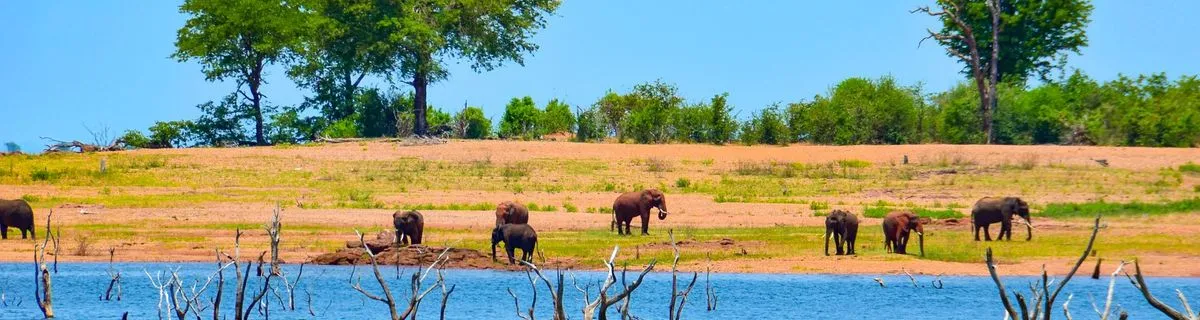 Image alt text not provided.