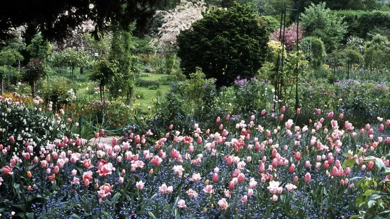 Visite de la fondation Claude Monet à Giverny