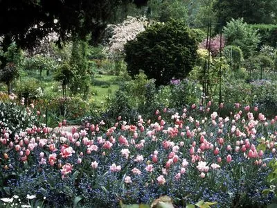 Image alt text not provided.