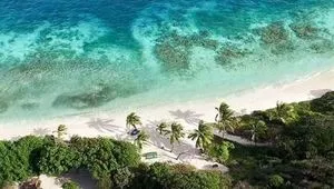 Caribische cruises