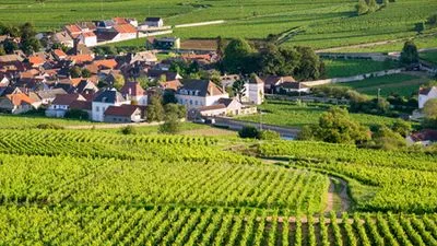 Croisière au cœur de la Bourgogne, ses vins et ses saveurs régionales (formule port-port)