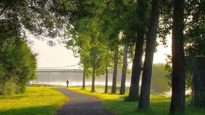 Croisière-promenade sur l'Erdre