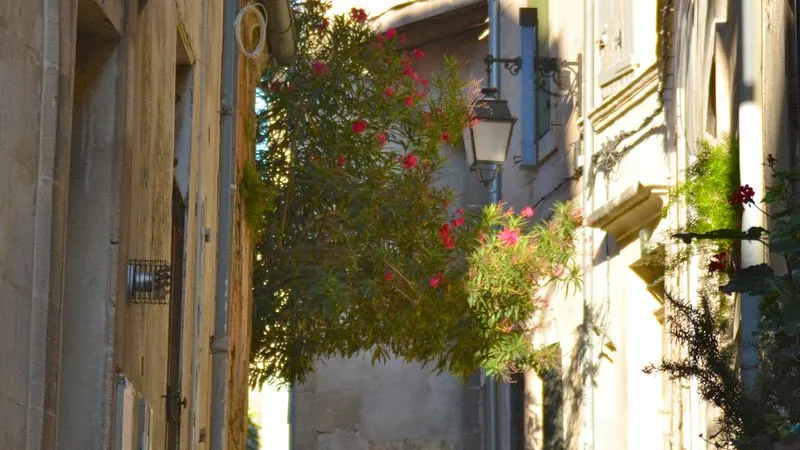 Visite guidée à pied d'Arles