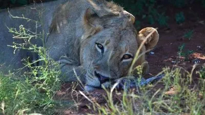 Image alt text not provided.