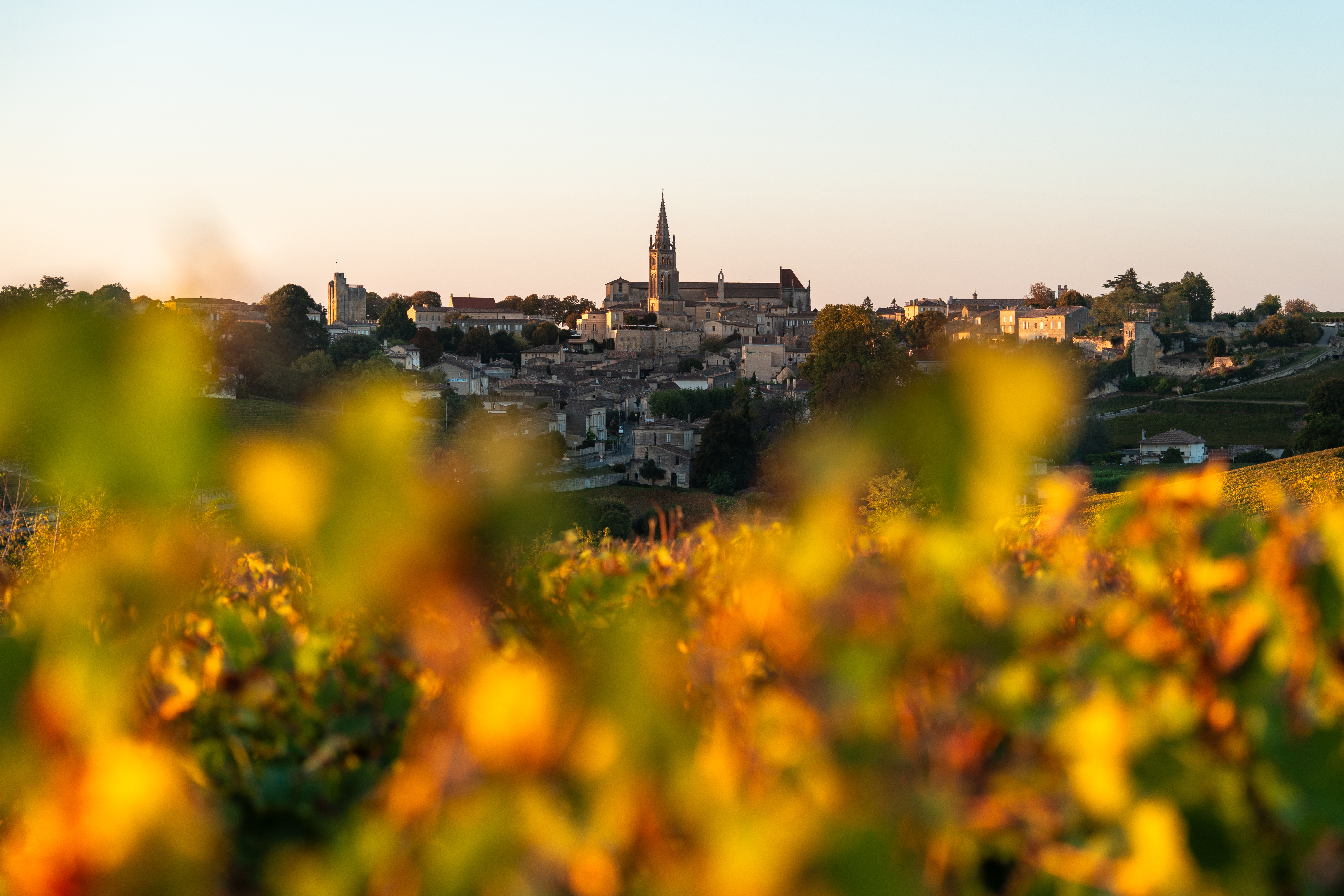Croisière au coeur de Bordeaux et sa région : itinéraire découverte