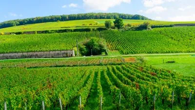 Le canal de Bourgogne et la petite Saône (formule port-port)