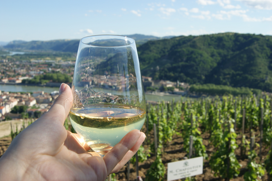 Descubre el fascinante mundo de la vid y el vino, tierras excepcionales del Ródano y la Saona - OSR_PP