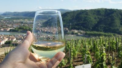À la découverte du fabuleux monde de la vigne et du vin, terroirs d'exception du Rhône et de la Saône (formule port/port) - 7