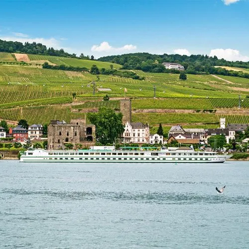 MS LEONARD DE VINCI
