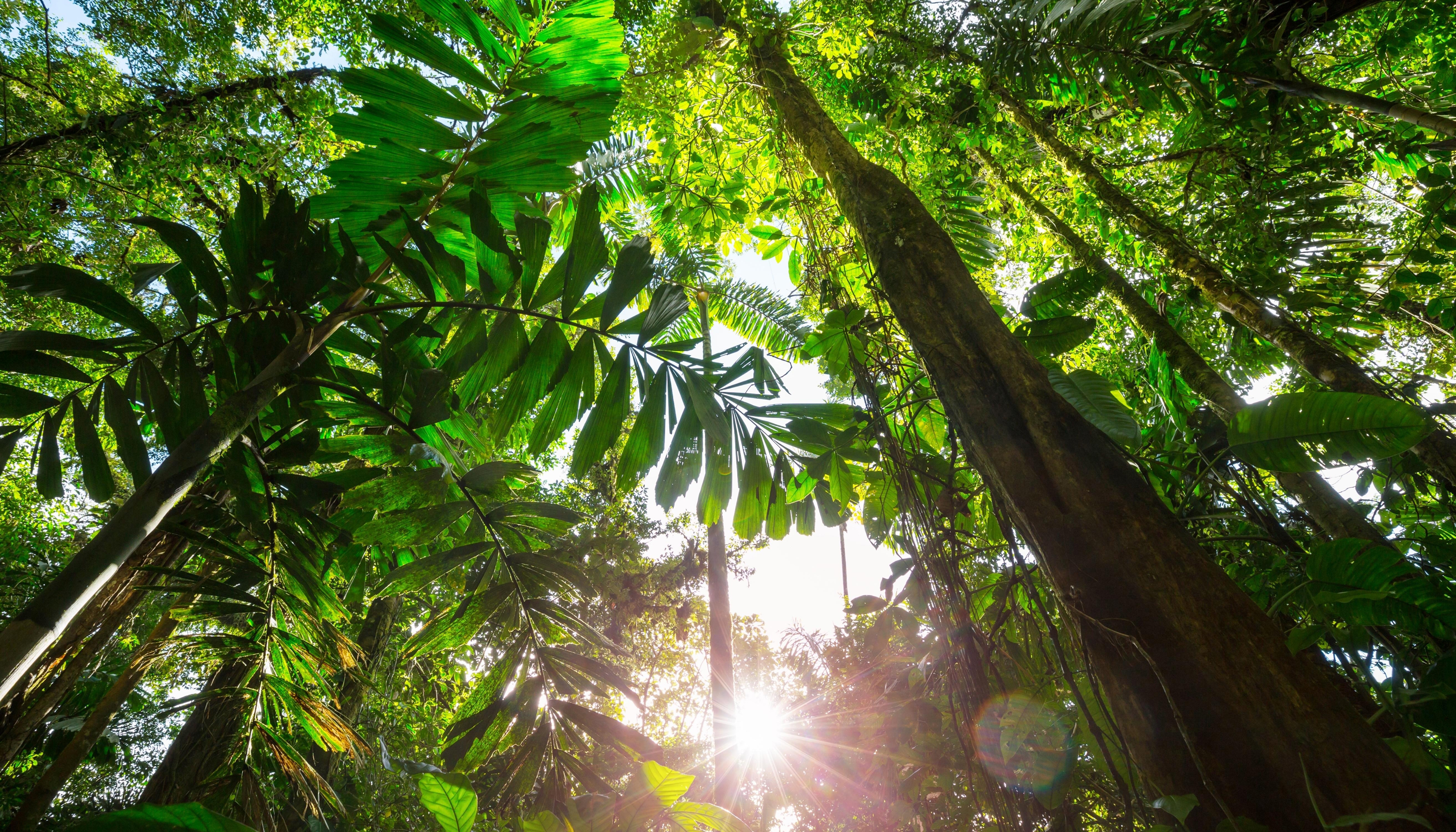 La Amazonía Serena y el Río Tapajós Un crucero cautivador e íntimo hacia las playas más hermosas del Amazonas - SMM_PP
