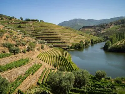 Image alt text not provided.